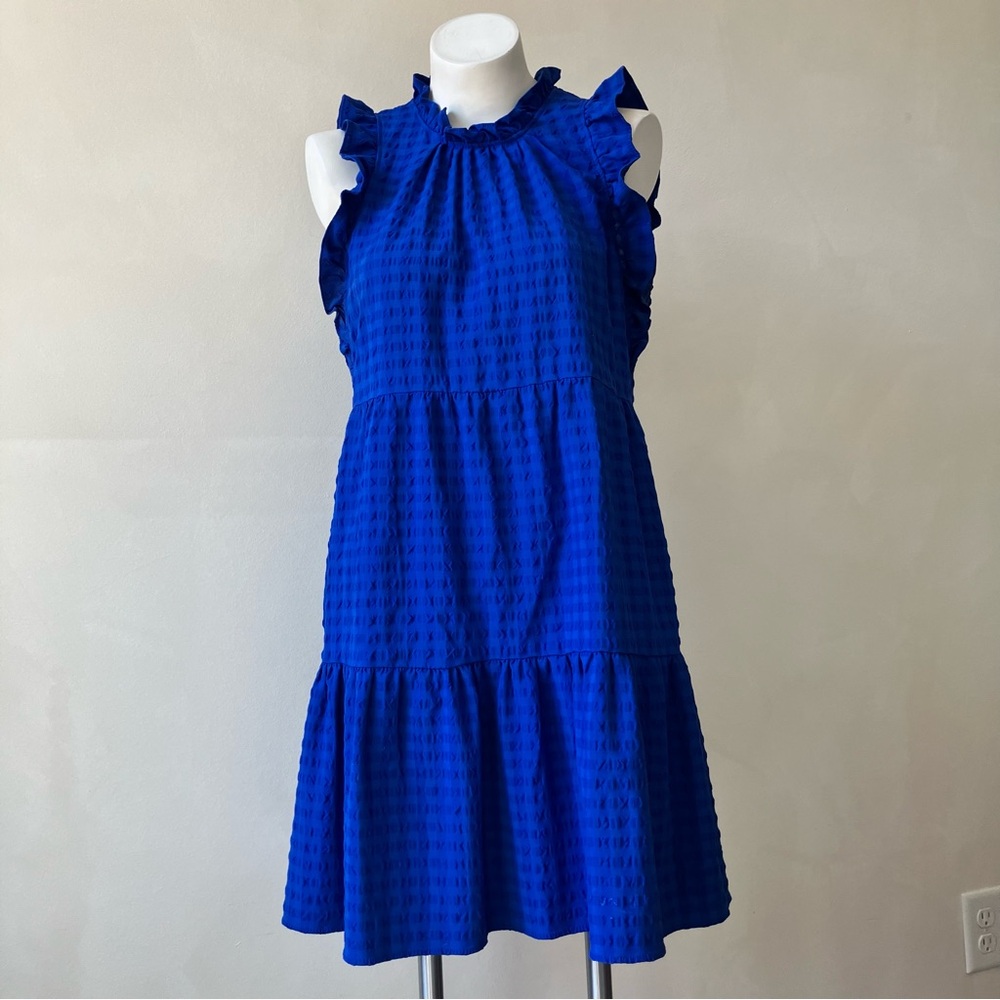 Maeve by Anthropologie | Lida Ruffle Textured Mini Dress